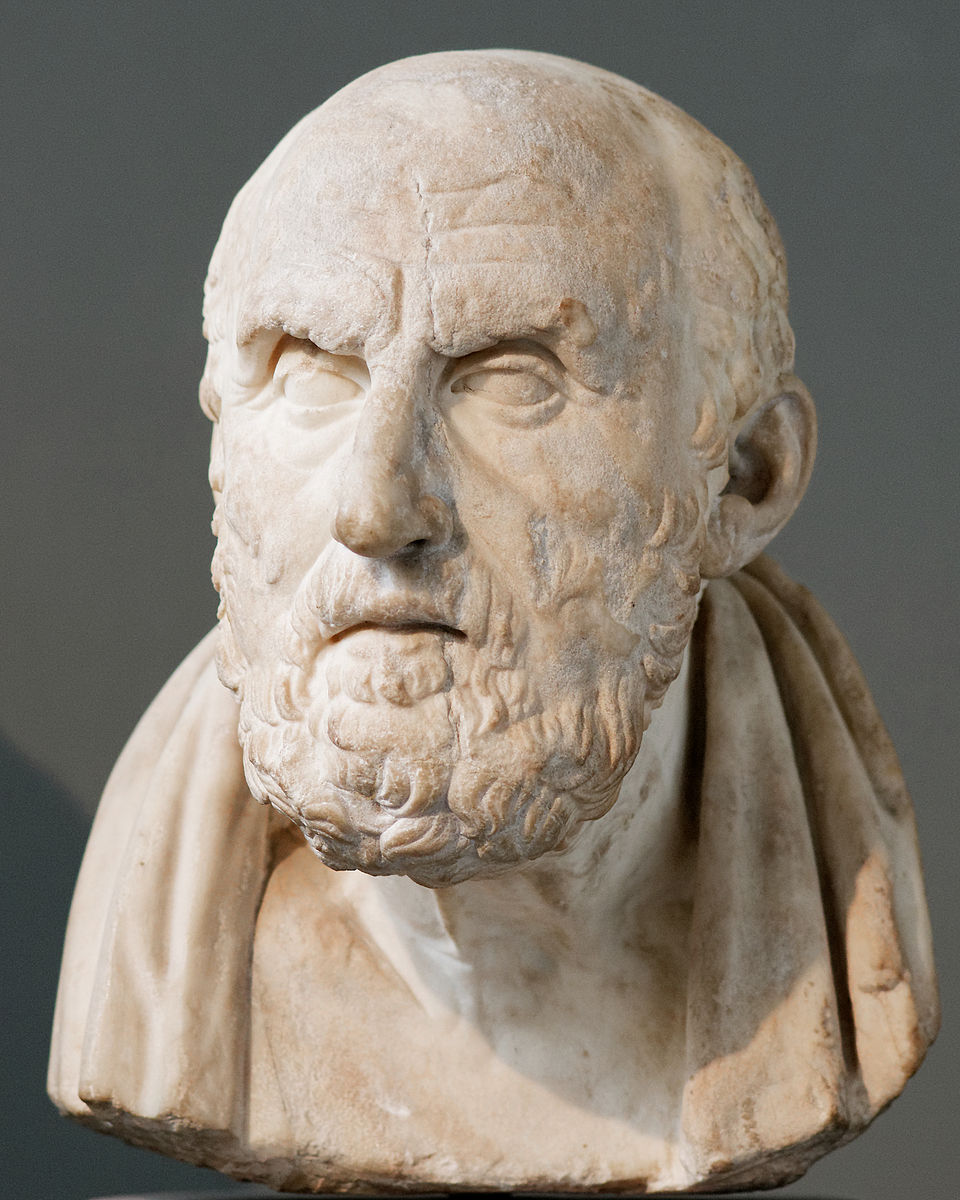 Chrysippus pic